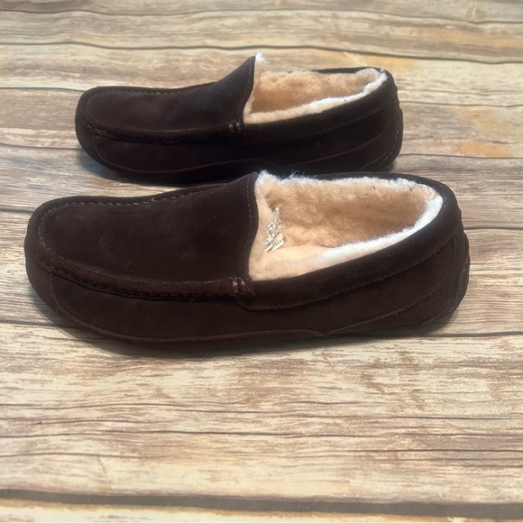 UGG Ascot Slipper - S 10 - Picture 5 of 8